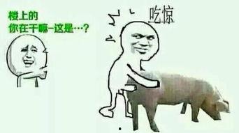 讥讽图片,幽默揭示社会百态