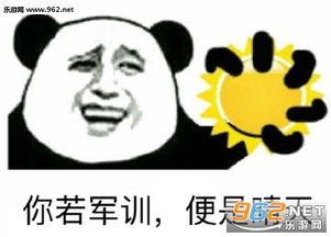 军训表情包,记录青春汗水中的欢乐瞬间
